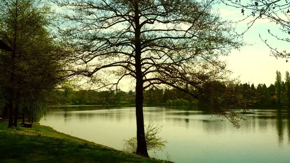 Il Ticino a Sesto Calende