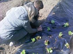 Vedano Olona - orto didattico 2017