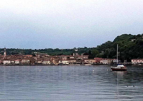 Arona