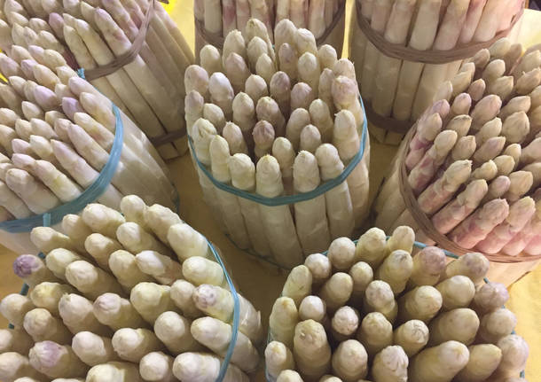 Festa asparago Cantello 2017