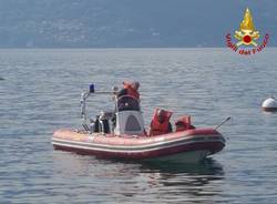 recupero femmina cervo