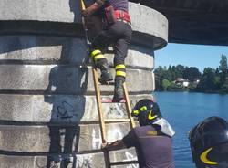 Vigili del fuoco varie