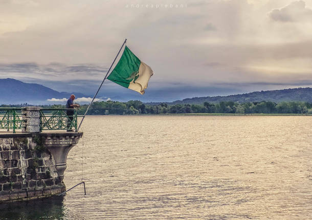 Arona di tutti i colori