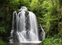 Canton Ticino generiche