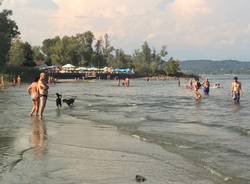 La spiaggia per cani a Dormelletto
