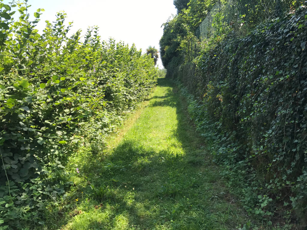 Il sentiero di Santa Caterina 