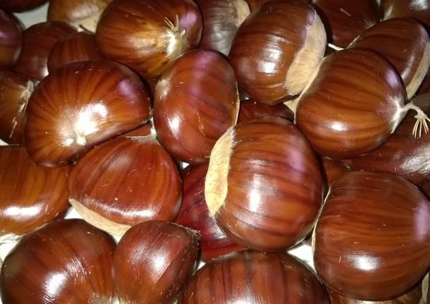 Finalmente...le castagne!!!