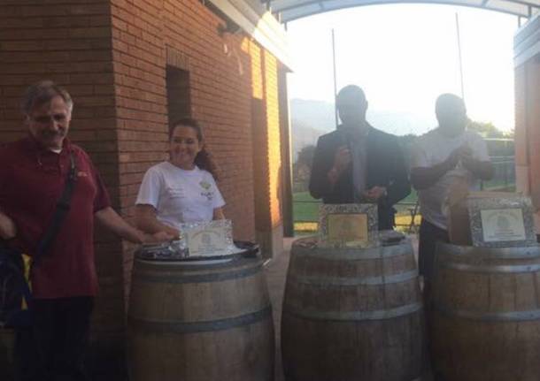 Il palio delle botti