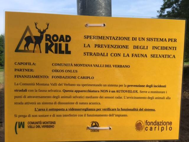 Road kill, il sistema per salvare animali e automobilisti