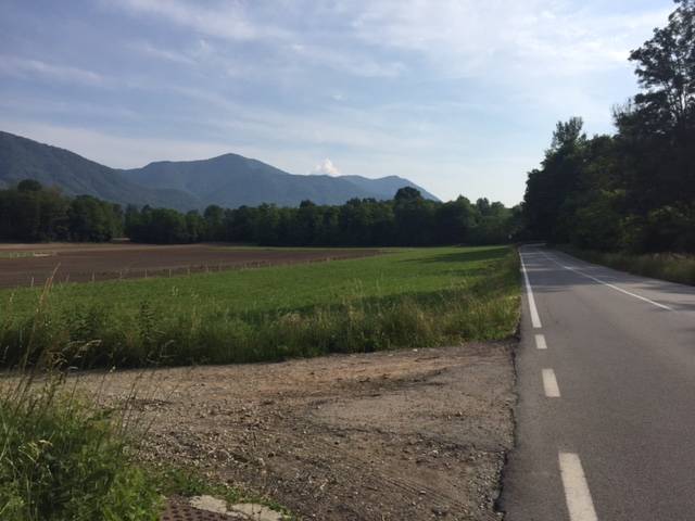 Road kill, il sistema per salvare animali e automobilisti