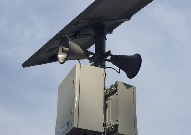 Road kill, il sistema per salvare animali e automobilisti