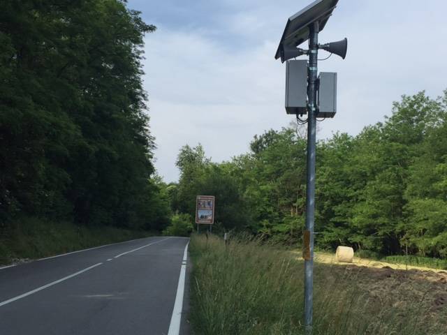 Road kill, il sistema per salvare animali e automobilisti