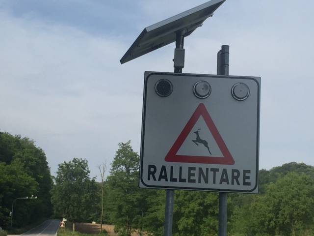 Road kill, il sistema per salvare animali e automobilisti