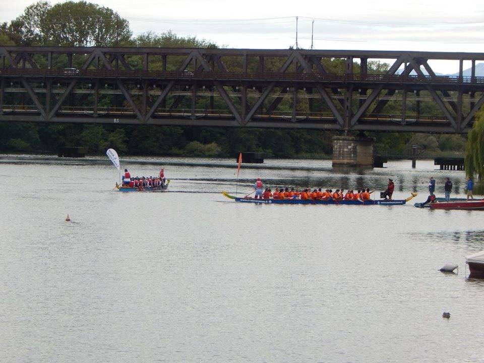 La gara di Dragon Boat a Sesto Calende