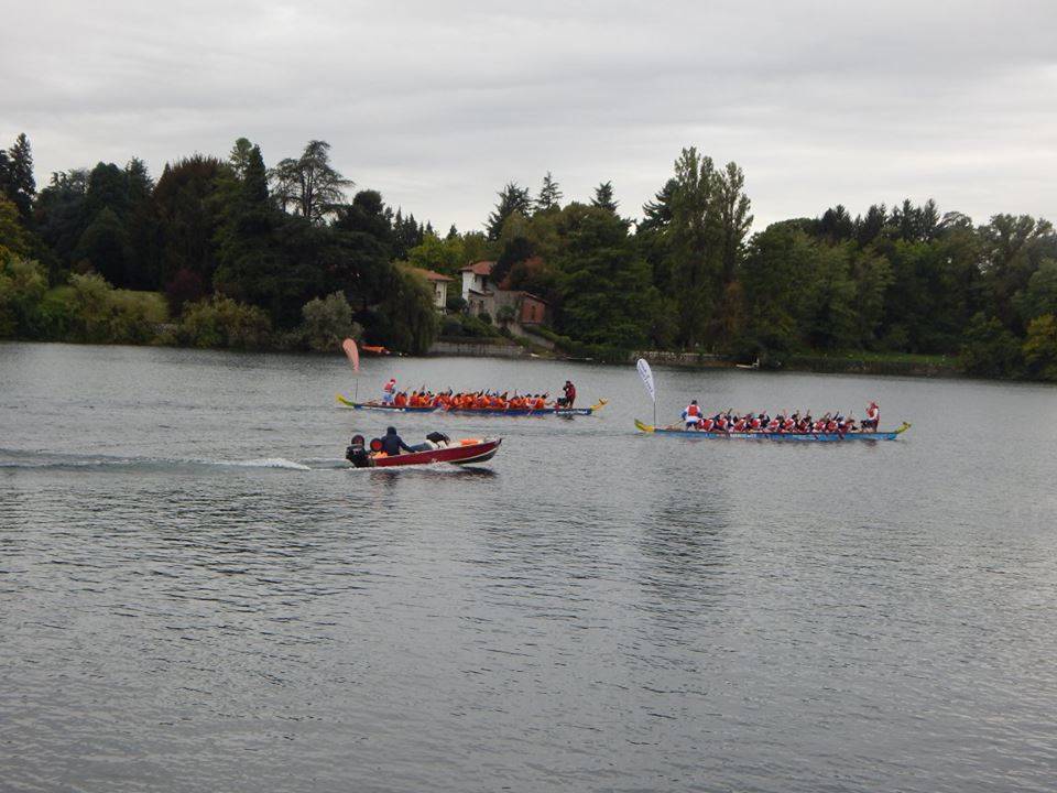 La gara di Dragon Boat a Sesto Calende
