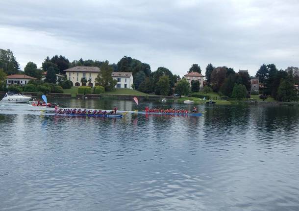 La gara di Dragon Boat a Sesto Calende