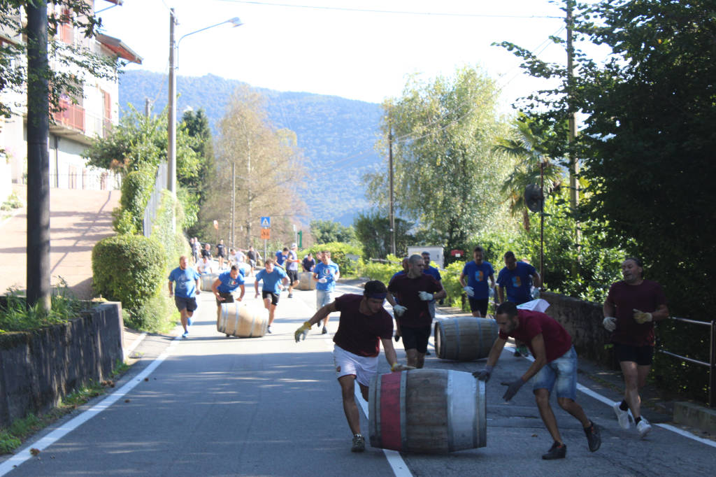 palio delle botti motte luino 2017