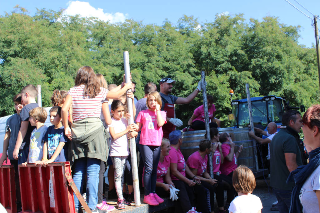 palio delle botti motte luino 2017