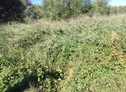 ricerca persone scomparse Monvalle