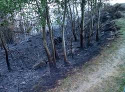Incendio di Bassano ,al via la bonifica