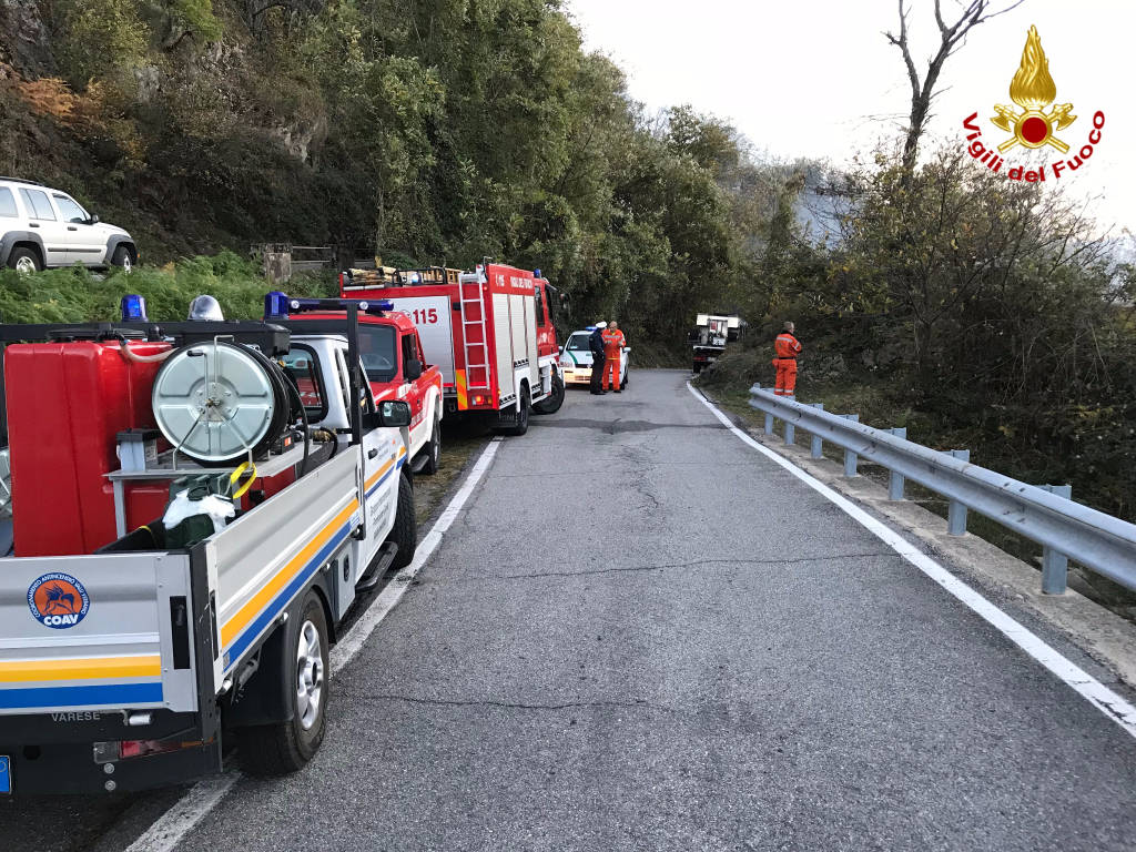 Incendio boschivo Tronzano