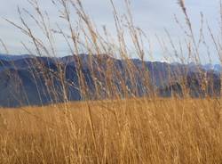 La rinascita della Forcora