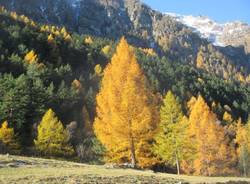 Un angolo della Val Divedro...