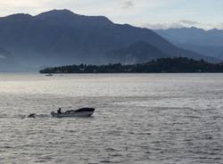 lago maggiore 