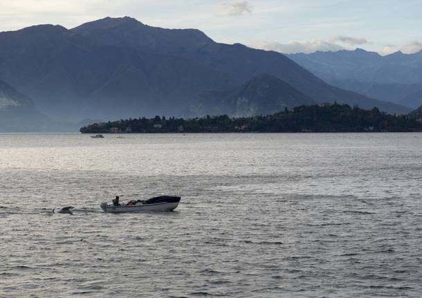 lago maggiore