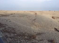 Le dune alla foce del Tresa a Germignaga, novembre 2017