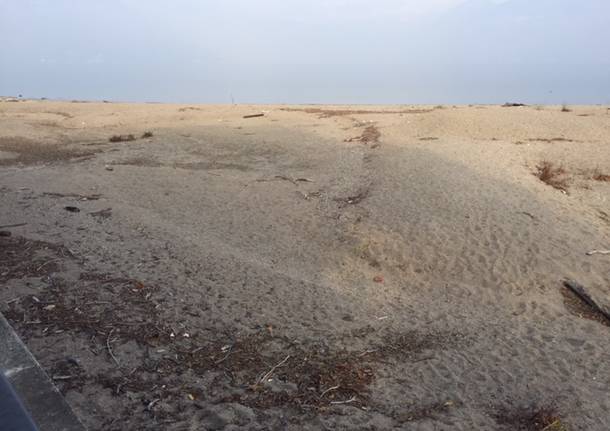 Le dune alla foce del Tresa a Germignaga, novembre 2017