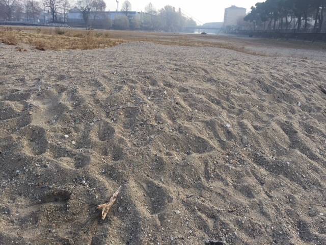 Le dune alla foce del Tresa a Germignaga, novembre 2017