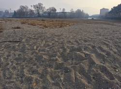 Le dune alla foce del Tresa a Germignaga, novembre 2017