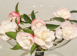 Tempo libero generica 