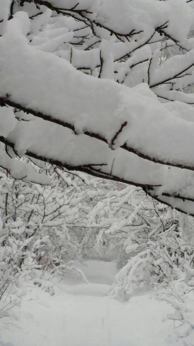 neve alto varesotto dicembre 2017