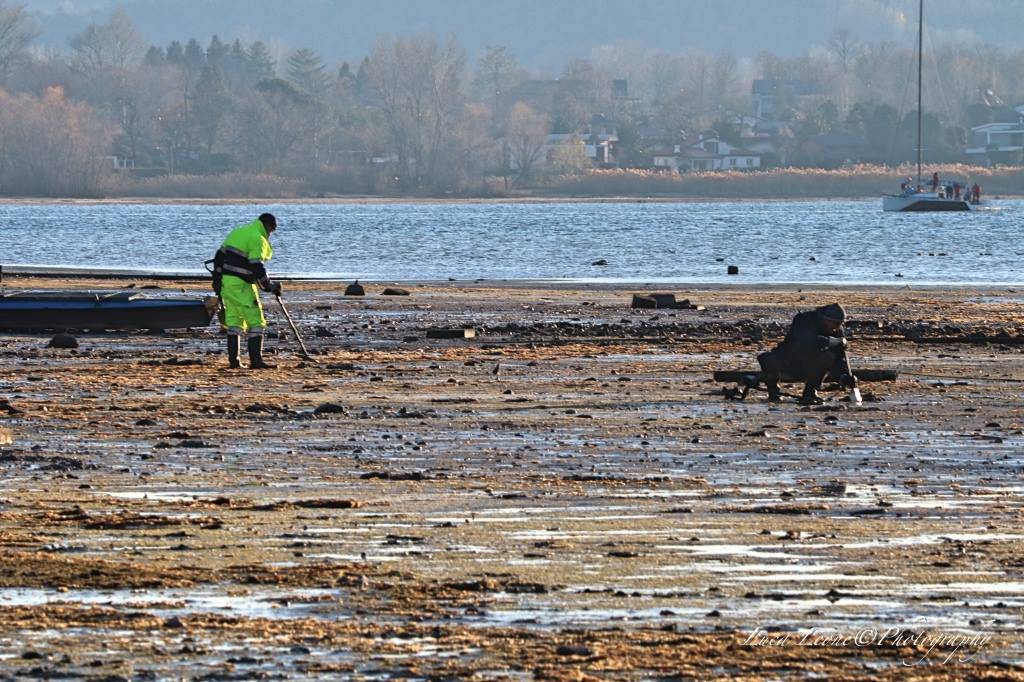 siccità sul Lago Maggiore, arrivano i cercatori d'oro
