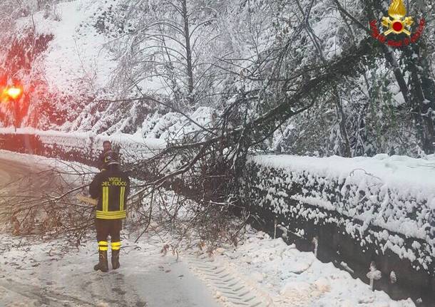 Vigili del fuoco, interventi per la neve 