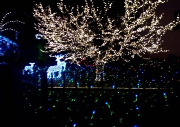 Le lucine di Leggiuno