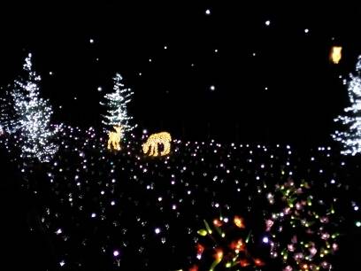 Le Lucine di Leggiuno 