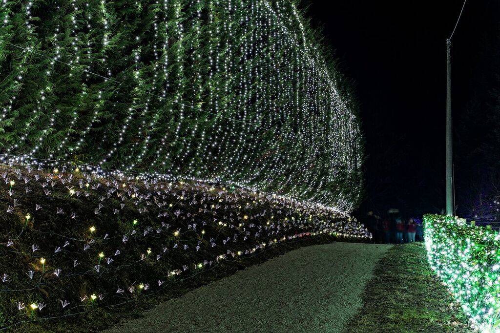 lucine leggiuno 3 gennaio