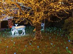 lucine leggiuno 3 gennaio