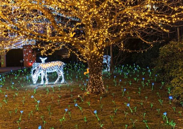 Leggiuno paese delle luci di Natale