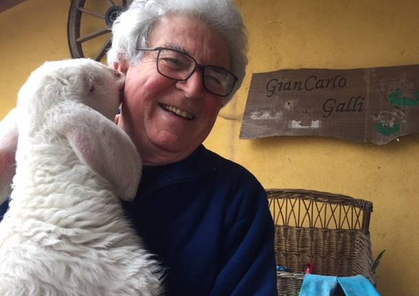 Agnellini scampati alla morte al Rifugio animali felici