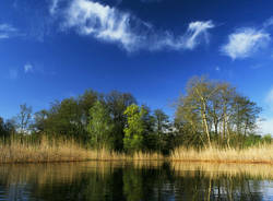 Naturalisti per un giorno