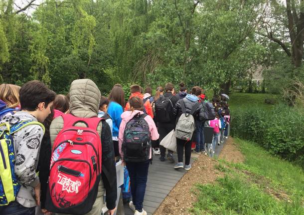 Nuovo ingresso scuola media Vidoletti Varese