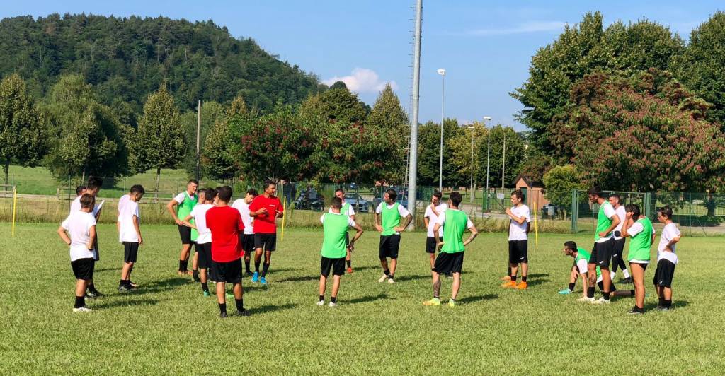 Sestese 2018-2019