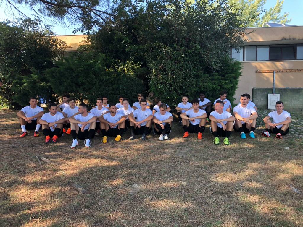 Sestese 2018-2019