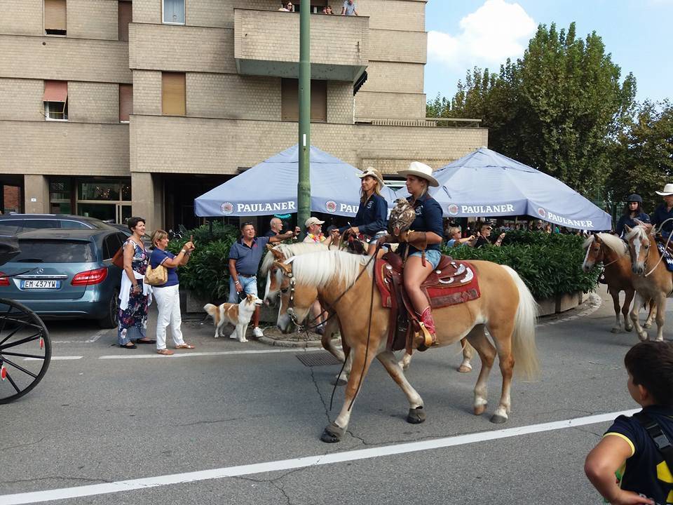 La festa dell\'uva 2018 ad Angera