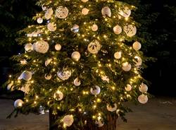 albero di natale