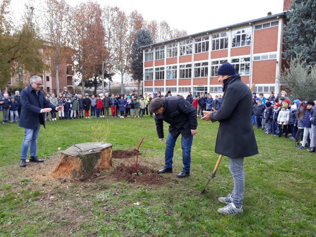 festa degli alberi busto arsizio 2018